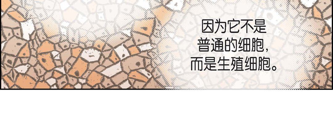 獻給心臟第79話