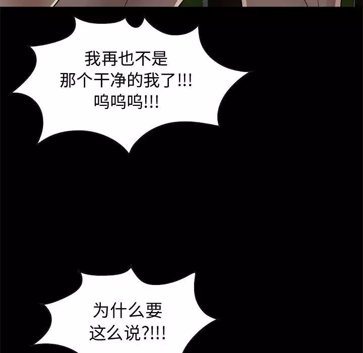 孤岛拼图第28章