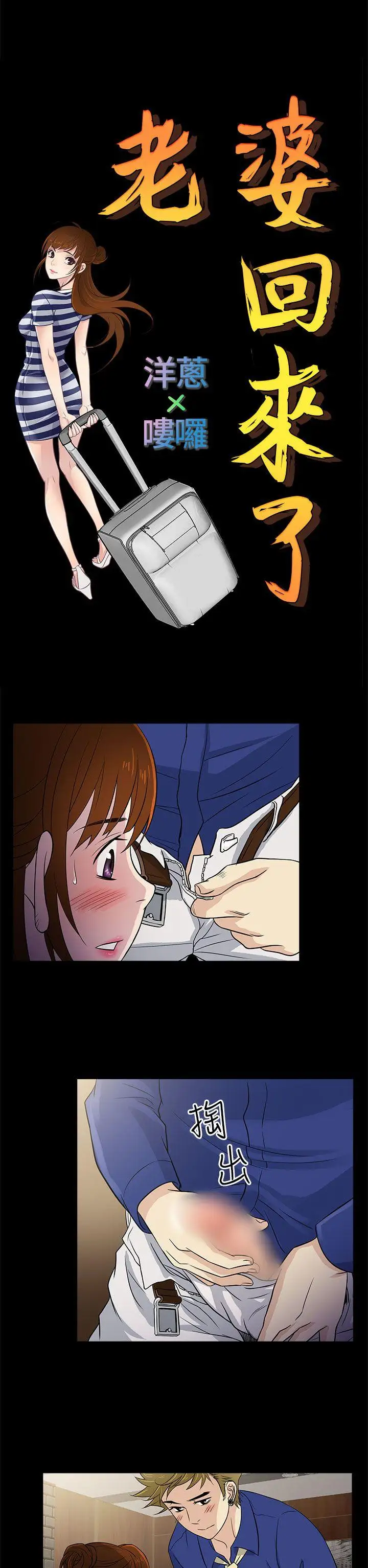 老婆回來了第12话