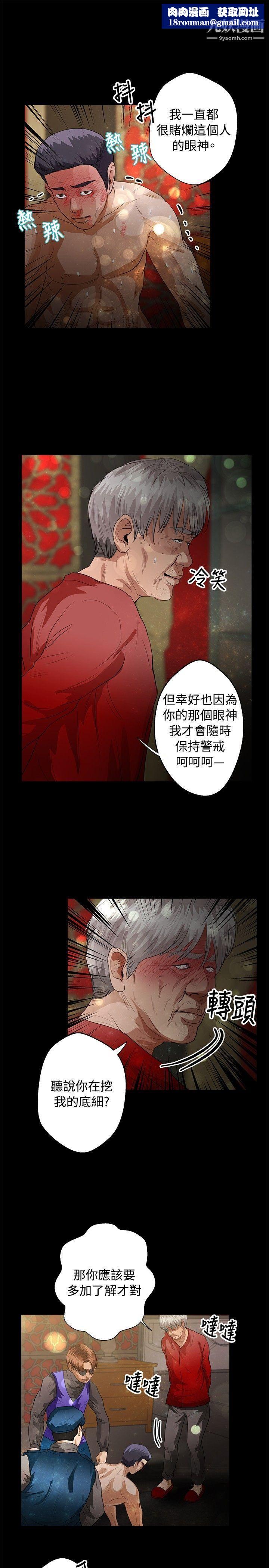 丛林爱爱法则第40话