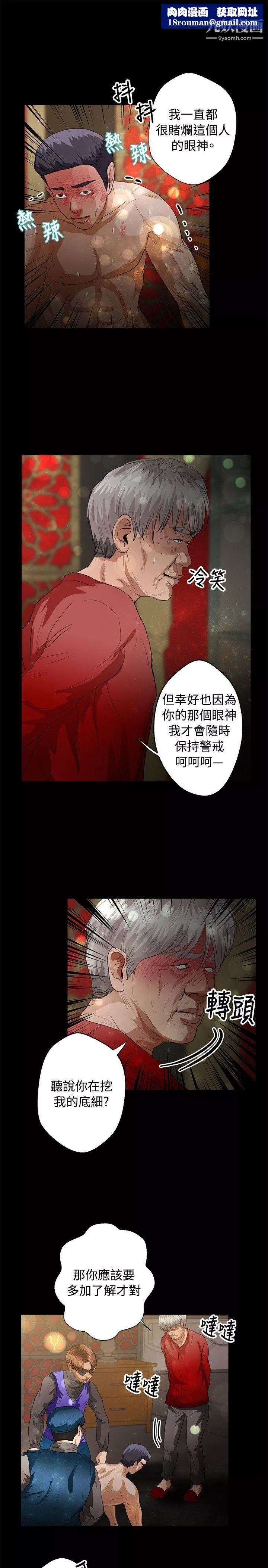 丛林爱爱法则-第40话 - 图片 12