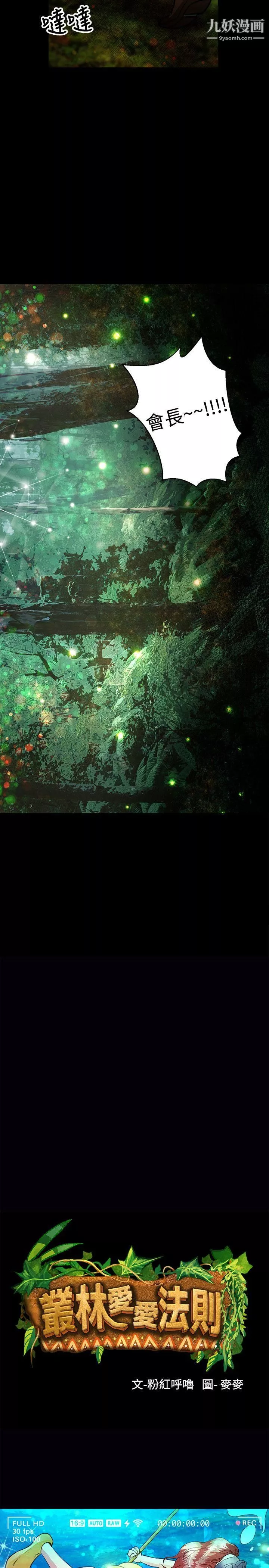 叢林愛愛法則最終話