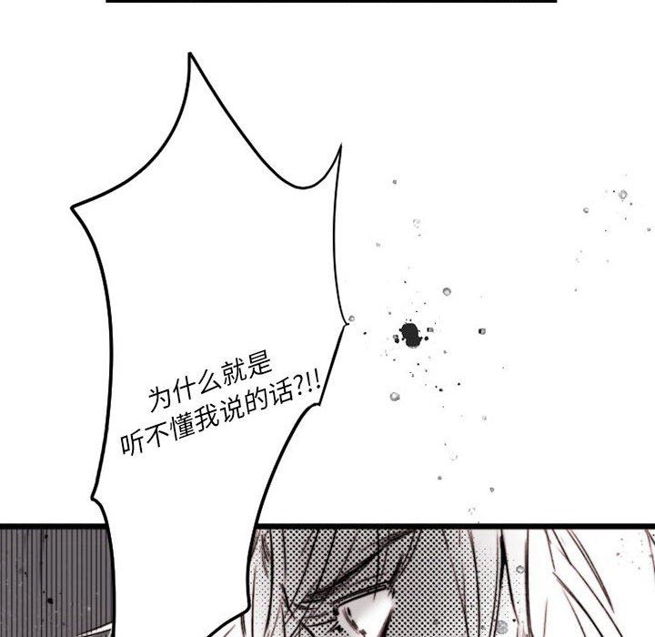 伊卡洛斯第15话