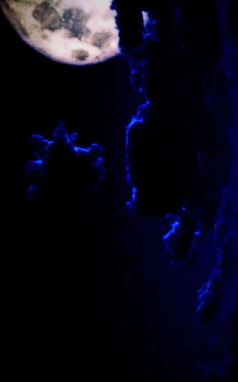 [3D]兽欲の末途第13章【第8话】