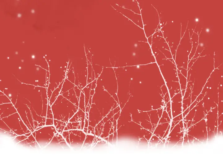 欲望人妻第11话