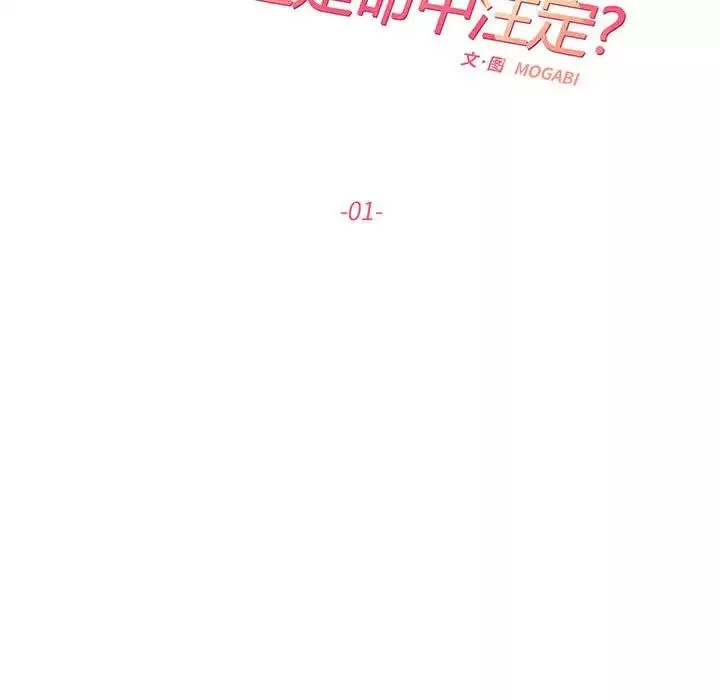 这难道是命中注定第1話