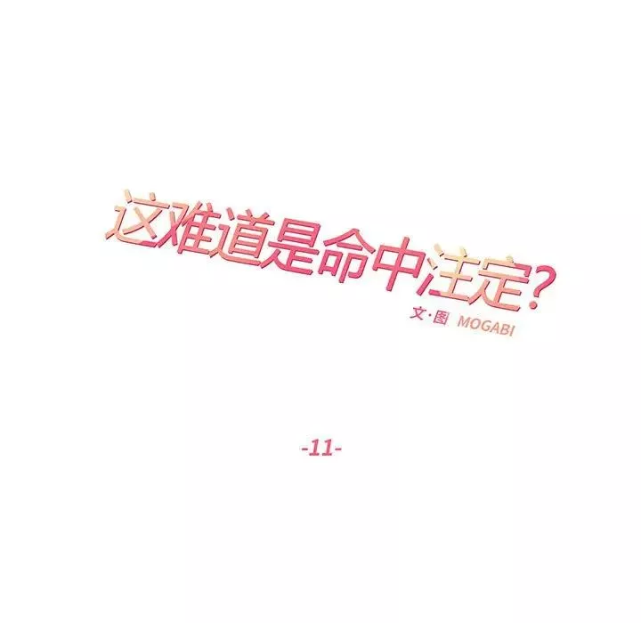 这难道是命中注定第11話