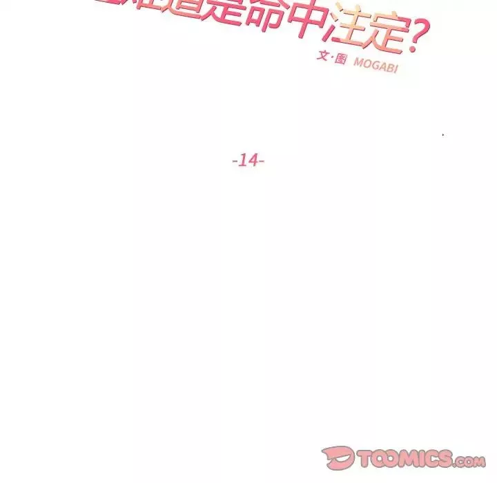 这难道是命中注定第14話