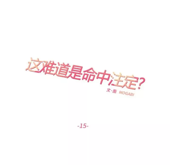 这难道是命中注定第15話