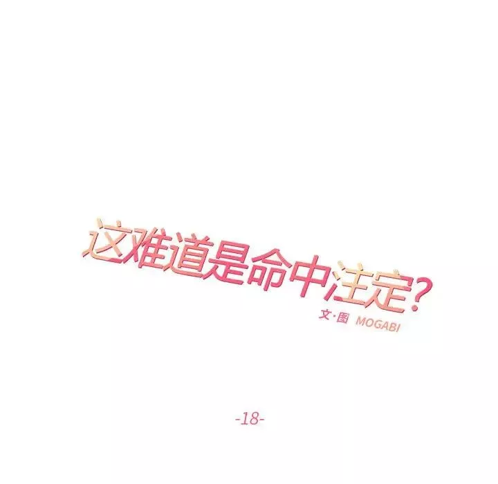 这难道是命中注定第18話