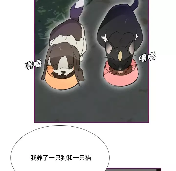 我的猫狗女友-第1话 - 图片 14