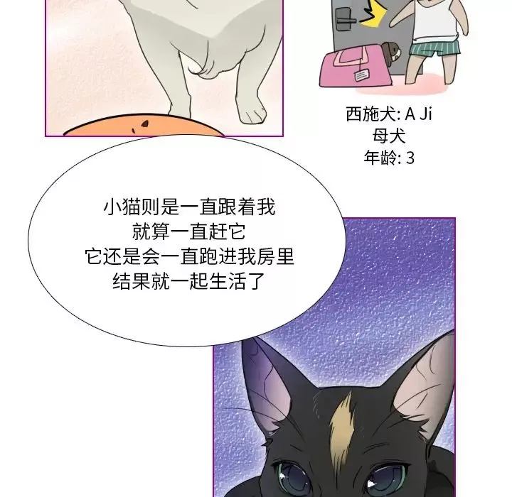 我的貓狗女友第1话