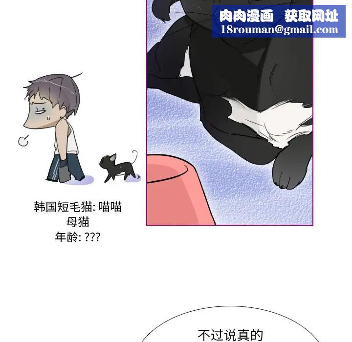 我的貓狗女友第1话