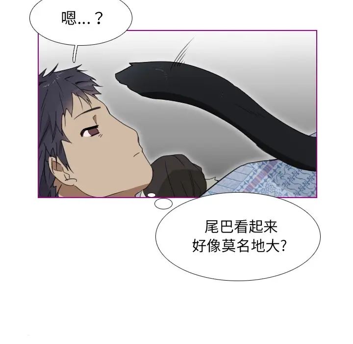 我的貓狗女友第1话