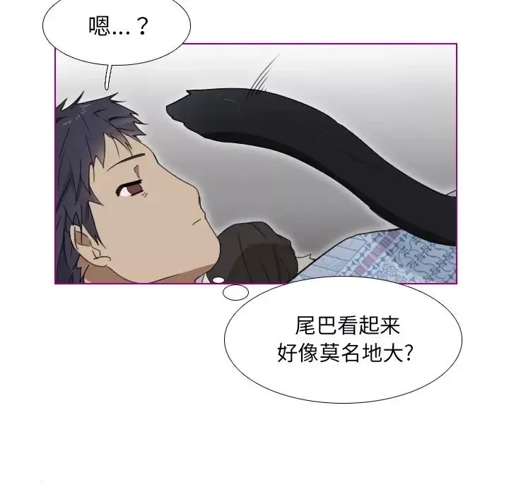 我的猫狗女友-第1话 - 图片 27