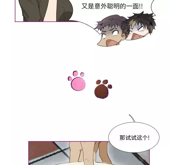 我的猫狗女友-第4话 - 图片 19