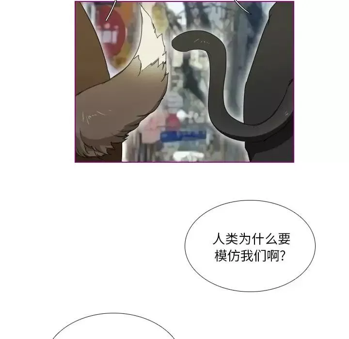 我的猫狗女友-第4话 - 图片 38
