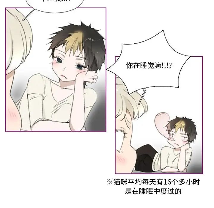 我的貓狗女友第11话