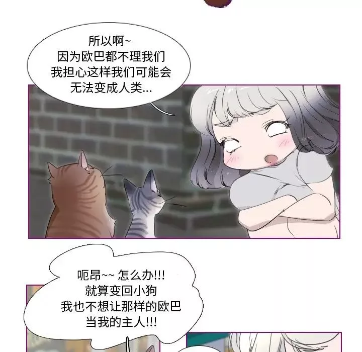 我的貓狗女友第11话