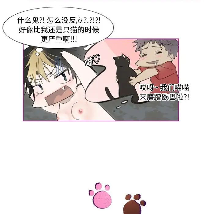 我的猫狗女友第11话