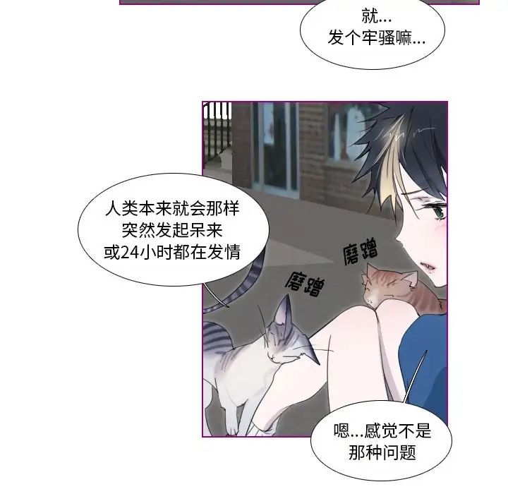 我的貓狗女友第11话