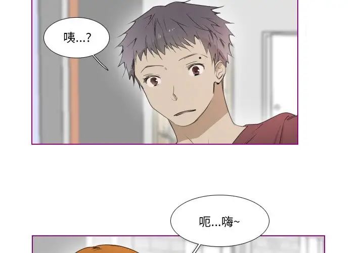 我的猫狗女友第12话