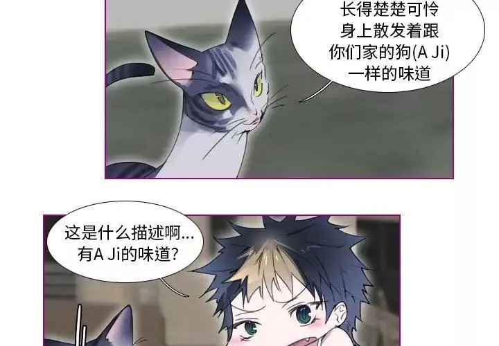 我的猫狗女友-第13话 - 图片 2