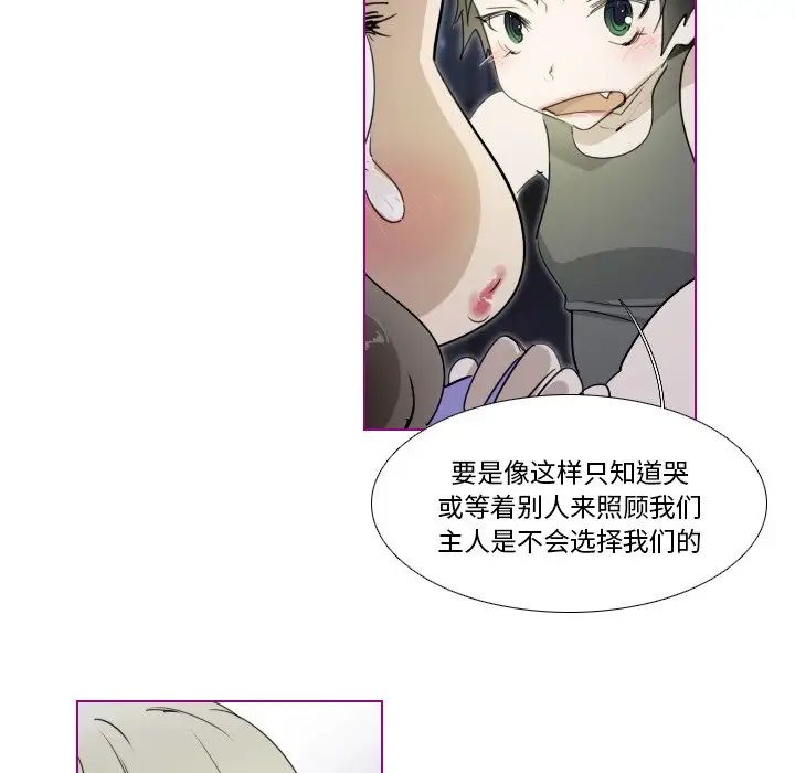 我的猫狗女友第14话