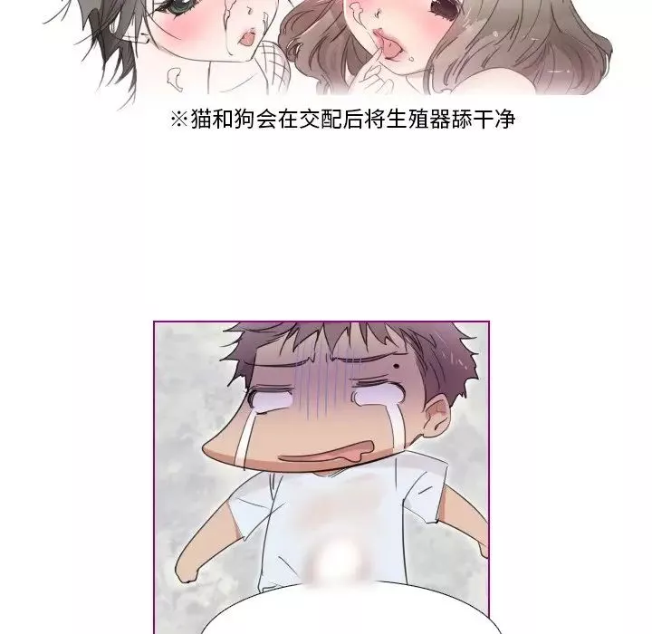 我的猫狗女友-第16话-最终话（完结） - 图片 27