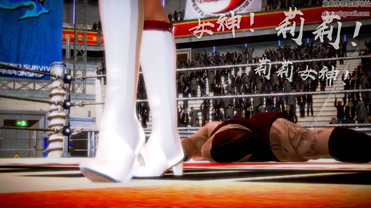 [3D]格斗傢们格斗家们Fighters3