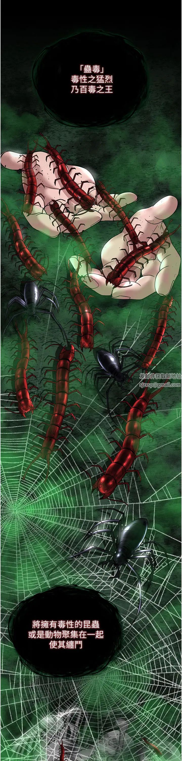 色鵰英雄传:一捅天下第22话-一起比划「功夫」