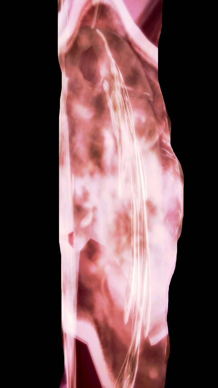 [3D]去讨伐魅魔的勇者们第07话