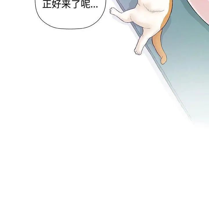 奇趣新人第12話