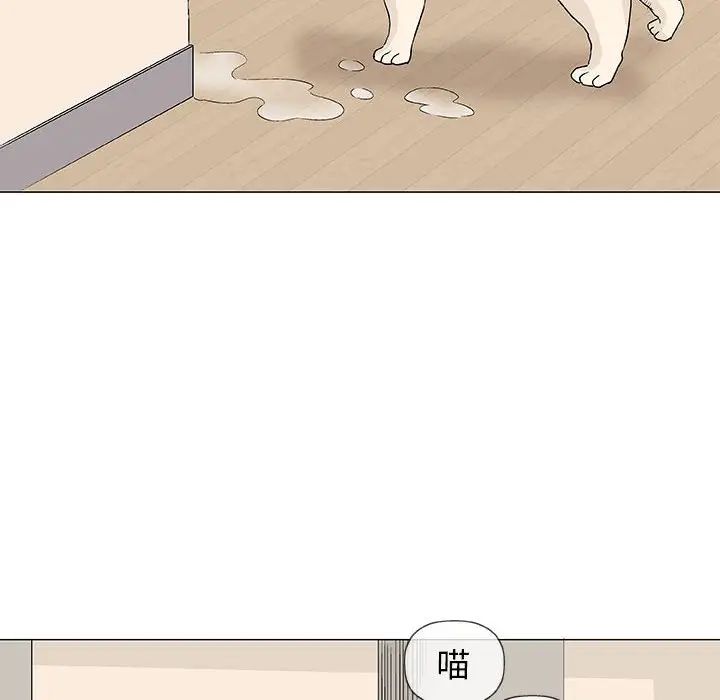 奇趣新人第26话