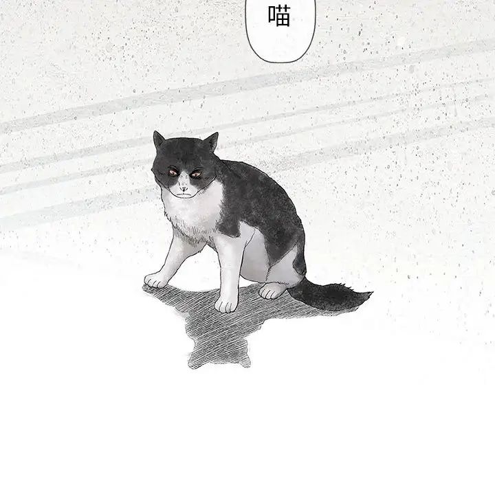 奇趣新人第28话