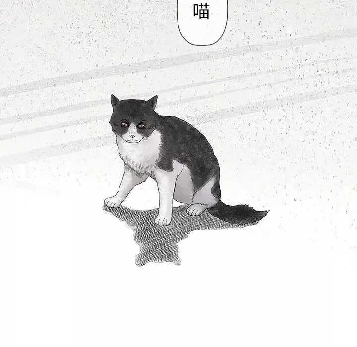 奇趣新人第28話