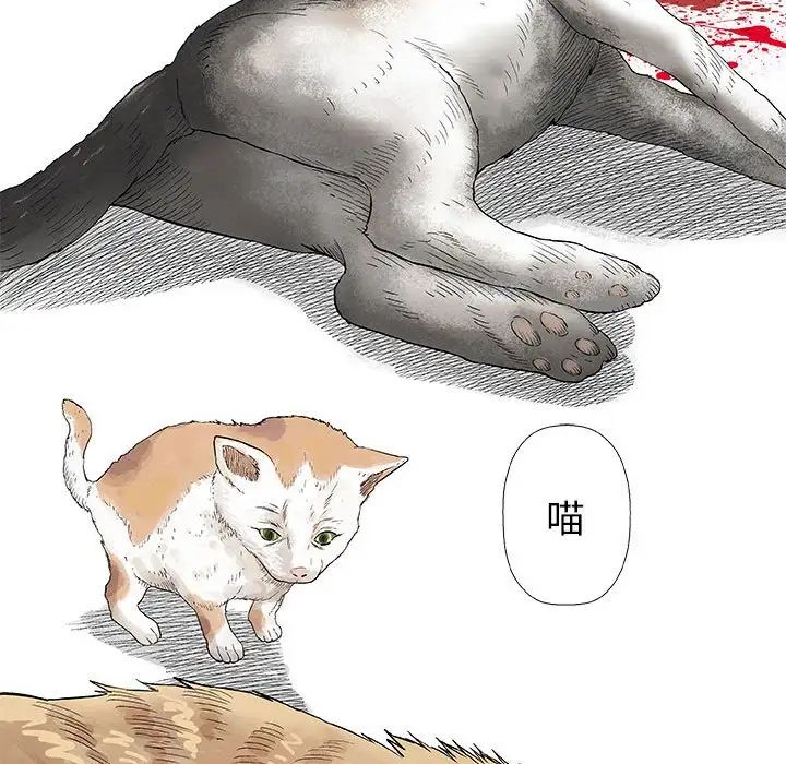 奇趣新人第28話