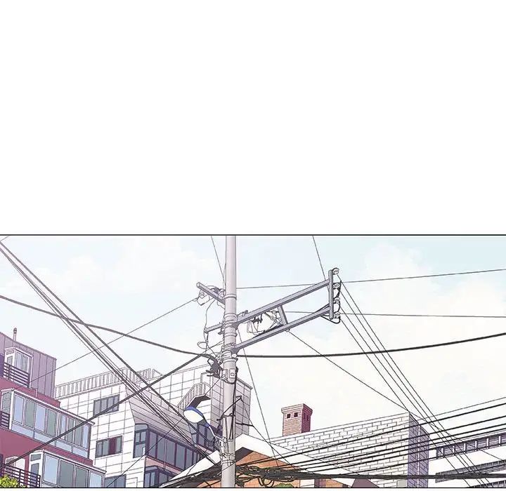 奇趣新人第28话