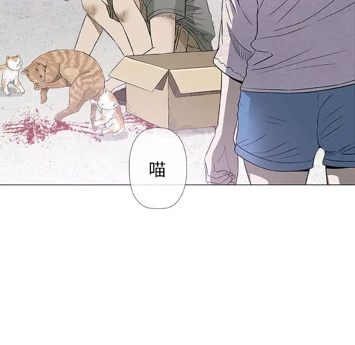 奇趣新人第28话