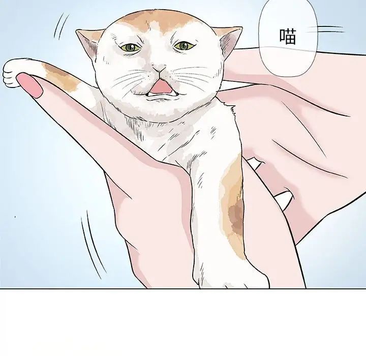 奇趣新人第28話