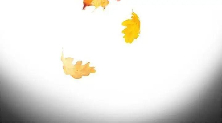 教练教教我第15话