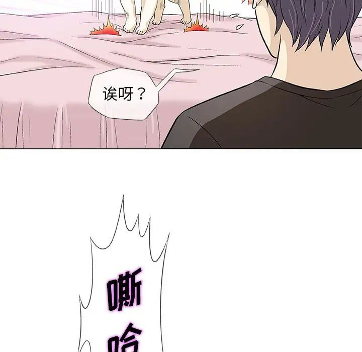 奇趣新人第40话