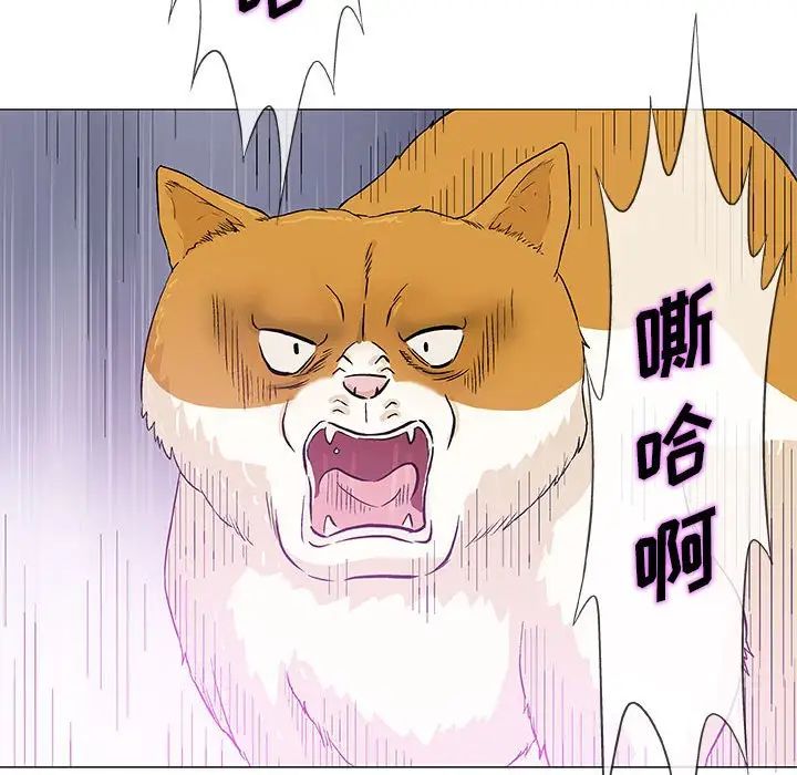 奇趣新人第40话