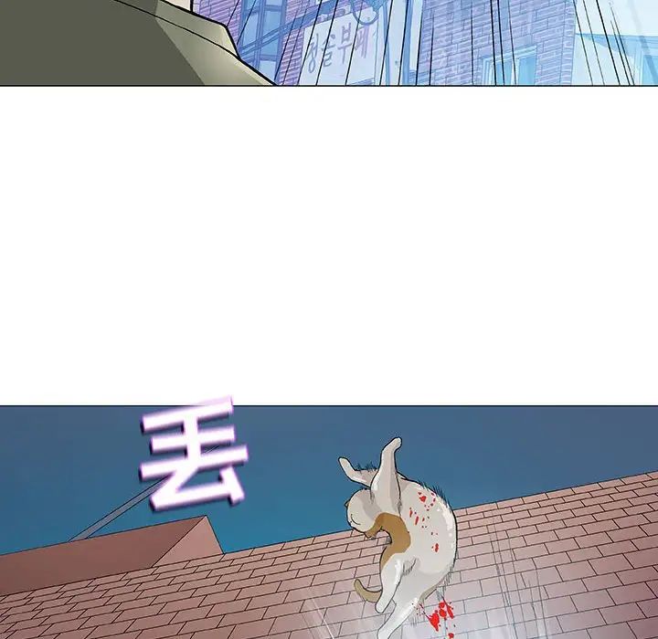 奇趣新人第43话