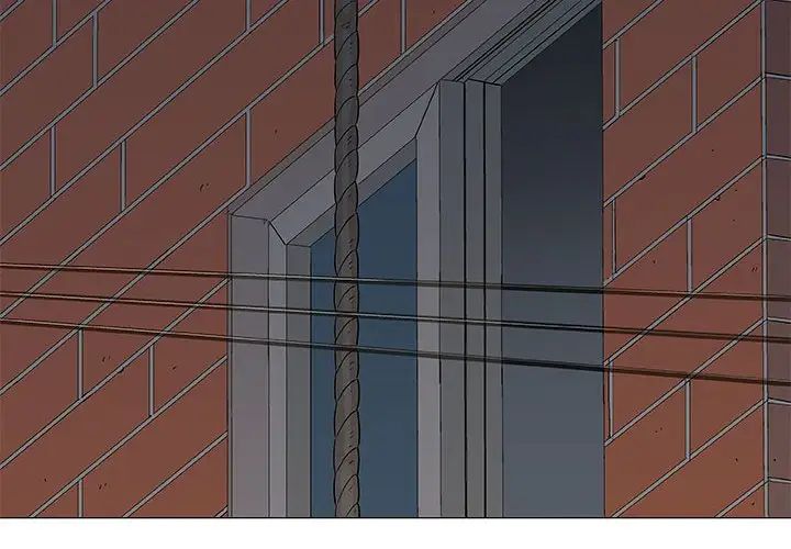 奇趣新人第47话