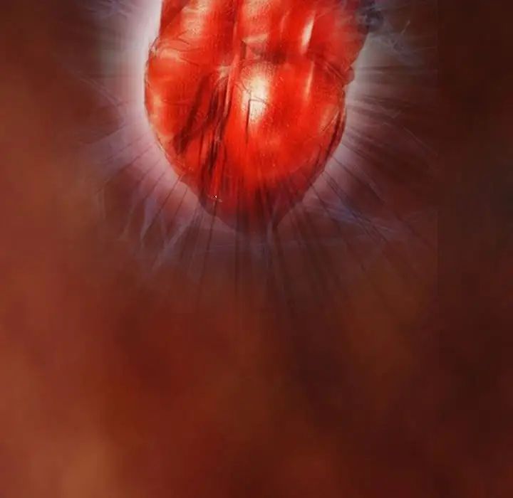 耳畔的神音第6话