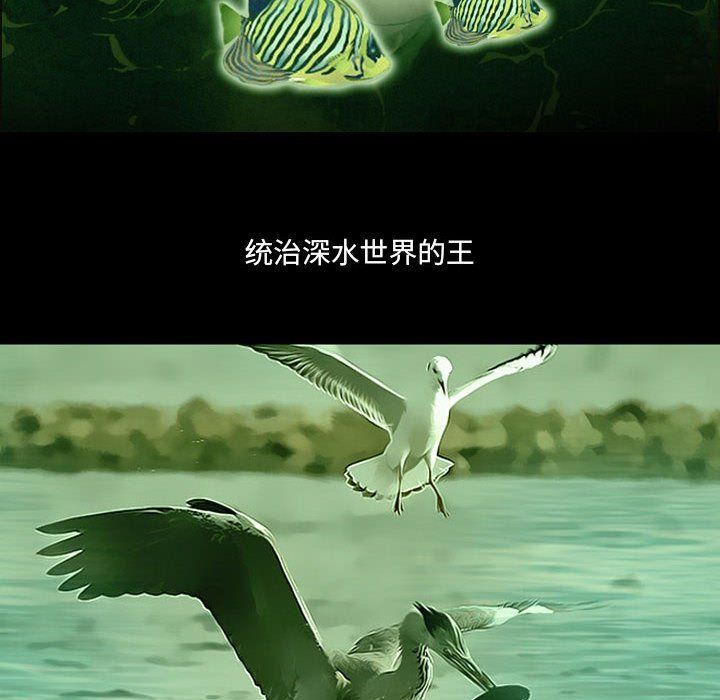 耳畔的神音第25话