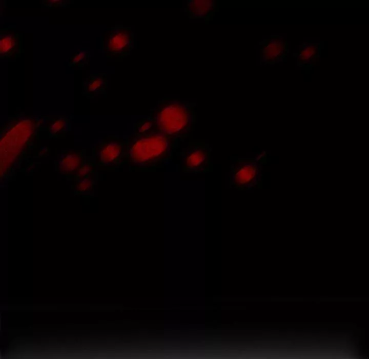 耳畔的神音-第33话 - 图片 11