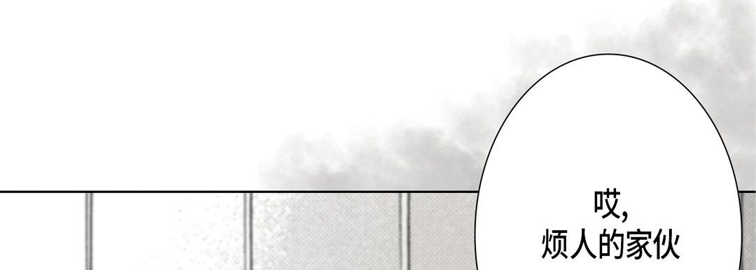 完美无缺的虏获第9话