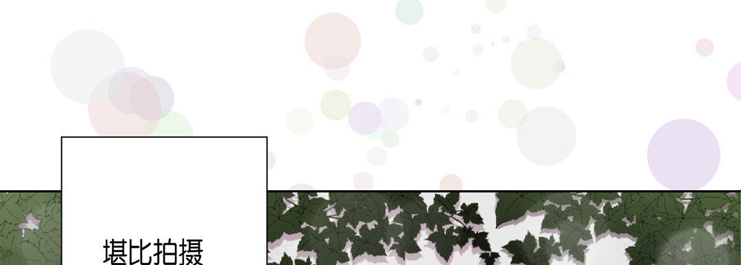 完美无缺的虏获第19话